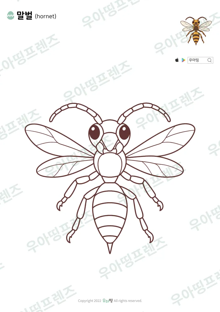 말벌 색칠공부 도안