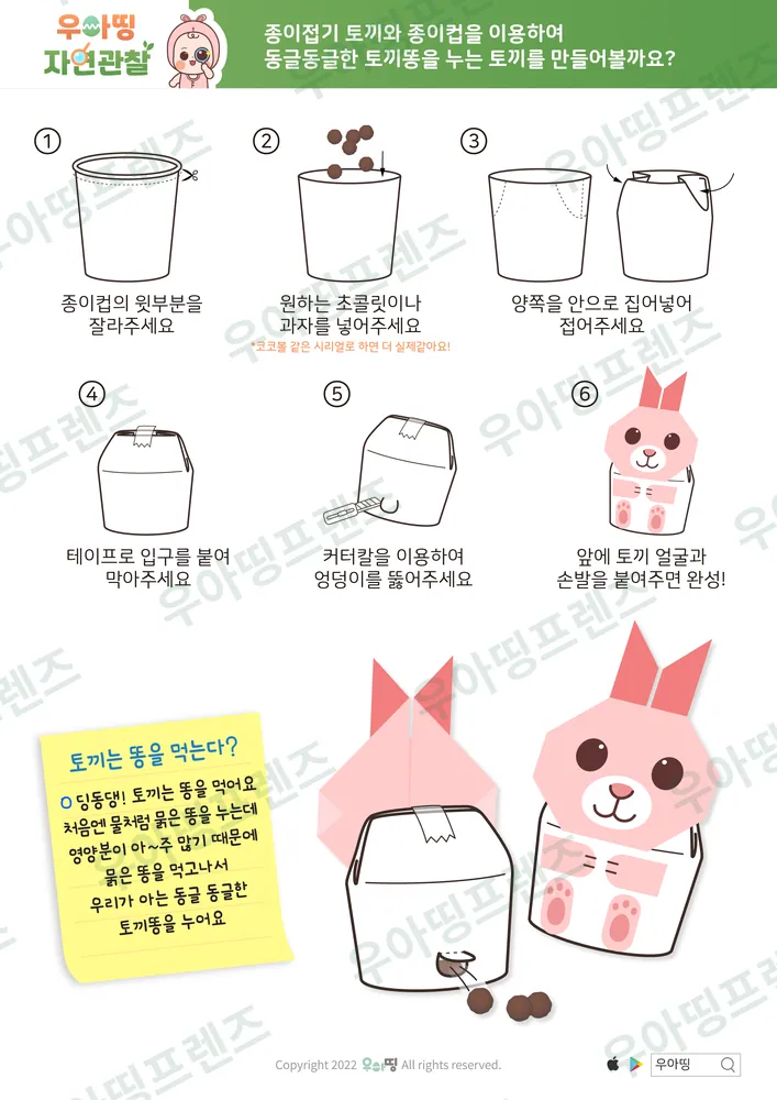 11쪽