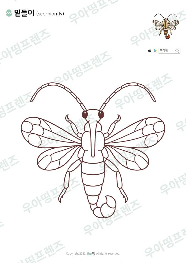 밑들이 색칠공부 도안