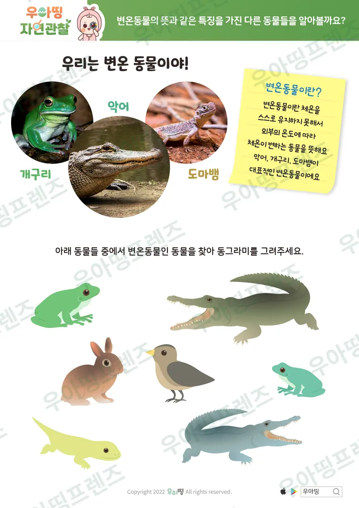 6쪽