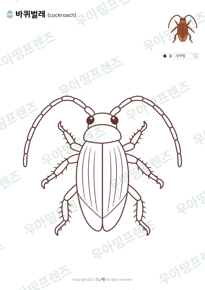 바퀴벌레 색칠공부 도안
