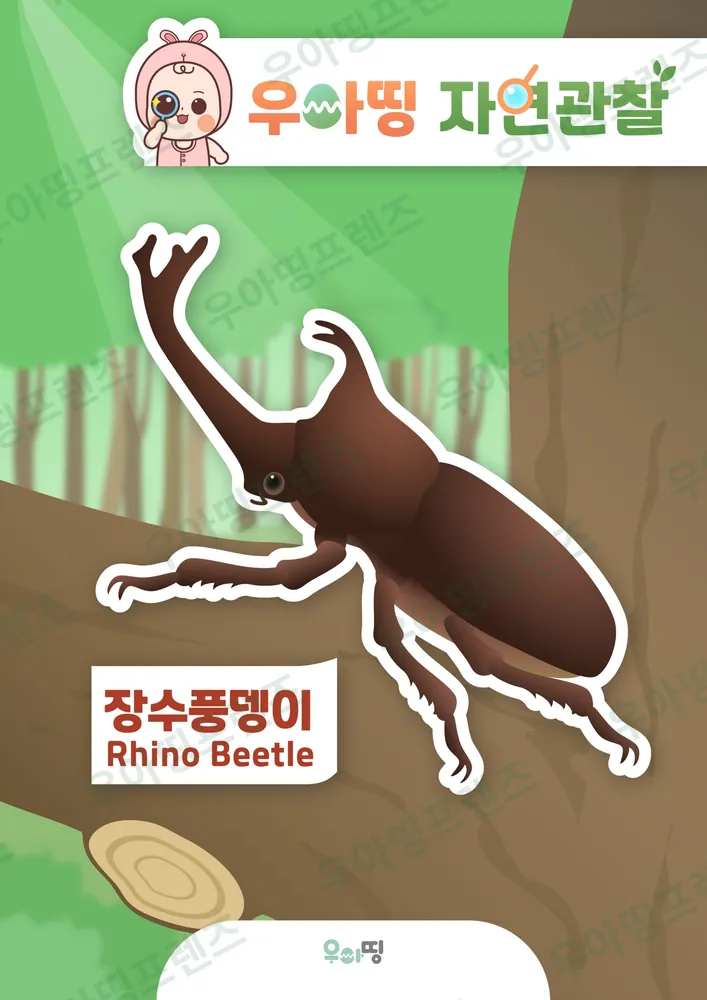 장수풍뎅이 자연관찰 워크북 미리보기