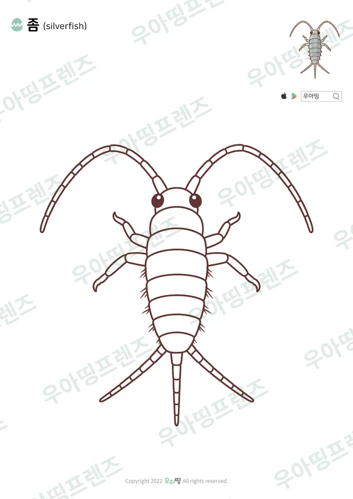 좀 색칠공부 도안