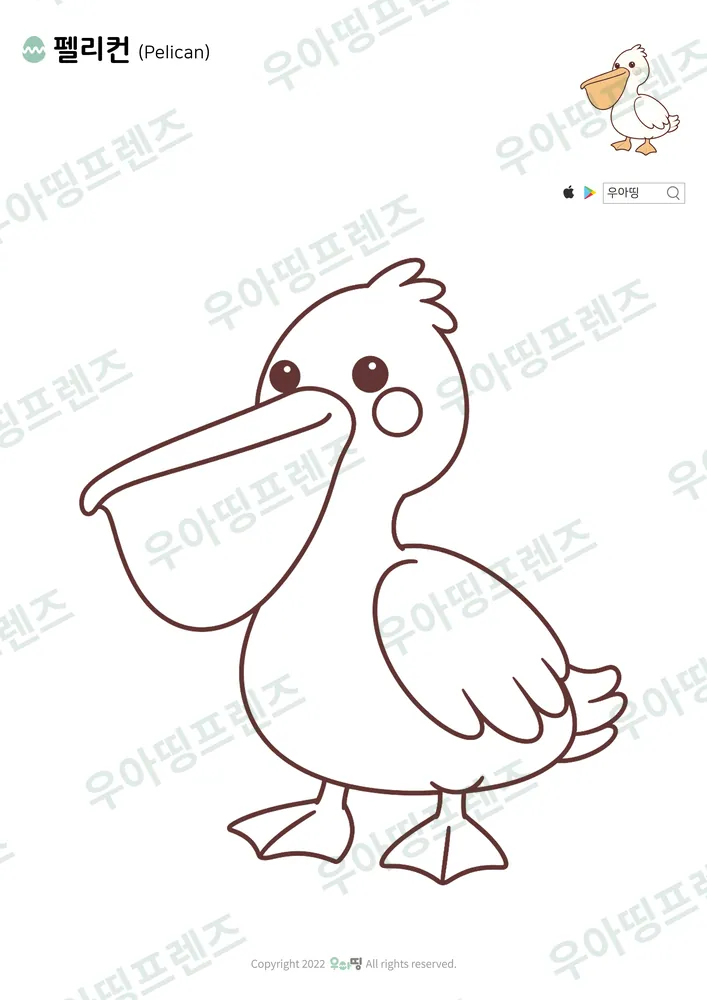 펠리컨 색칠공부 도안