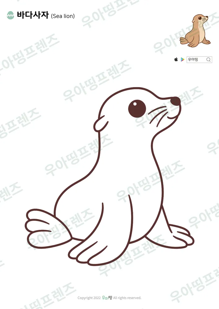 바다사자 색칠공부 도안