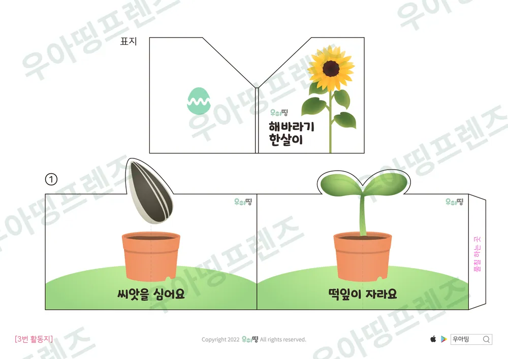 11쪽