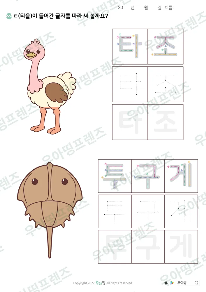 타조·투구게 따라쓰기 도안