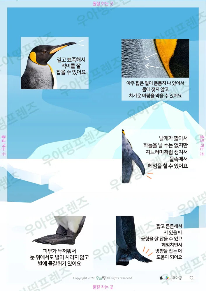 펭귄 자연관찰 워크북 도안 3쪽