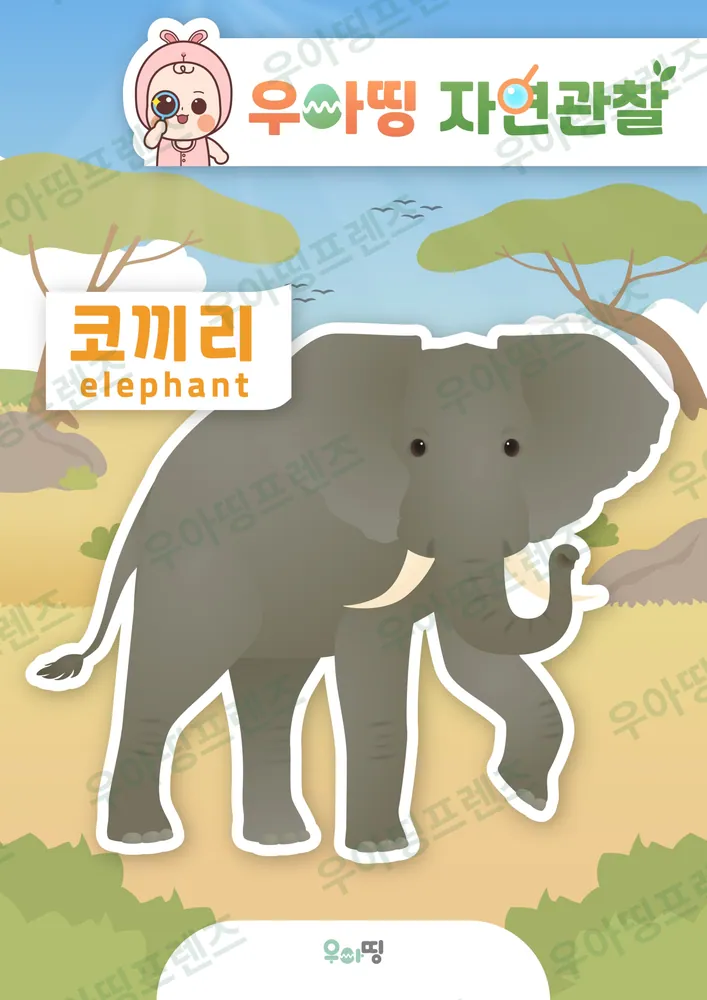 코끼리 자연관찰 워크북 미리보기