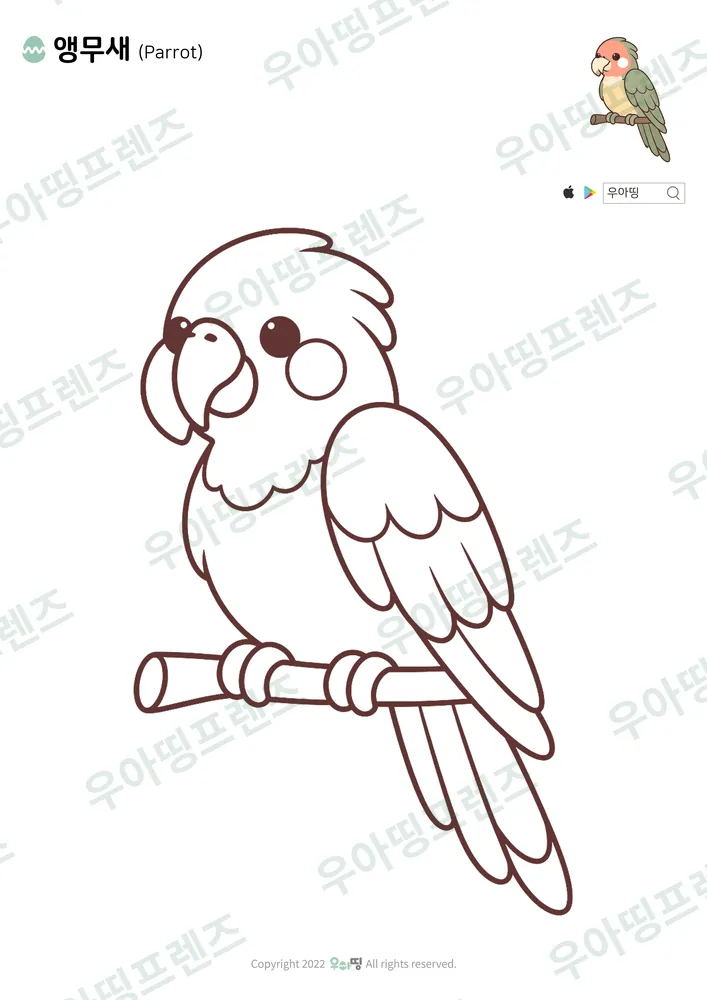 앵무새 색칠공부 도안