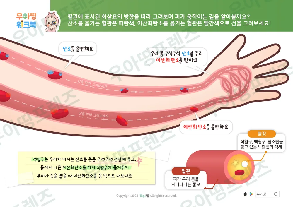 피와 예방접종 워크북 도안 4쪽