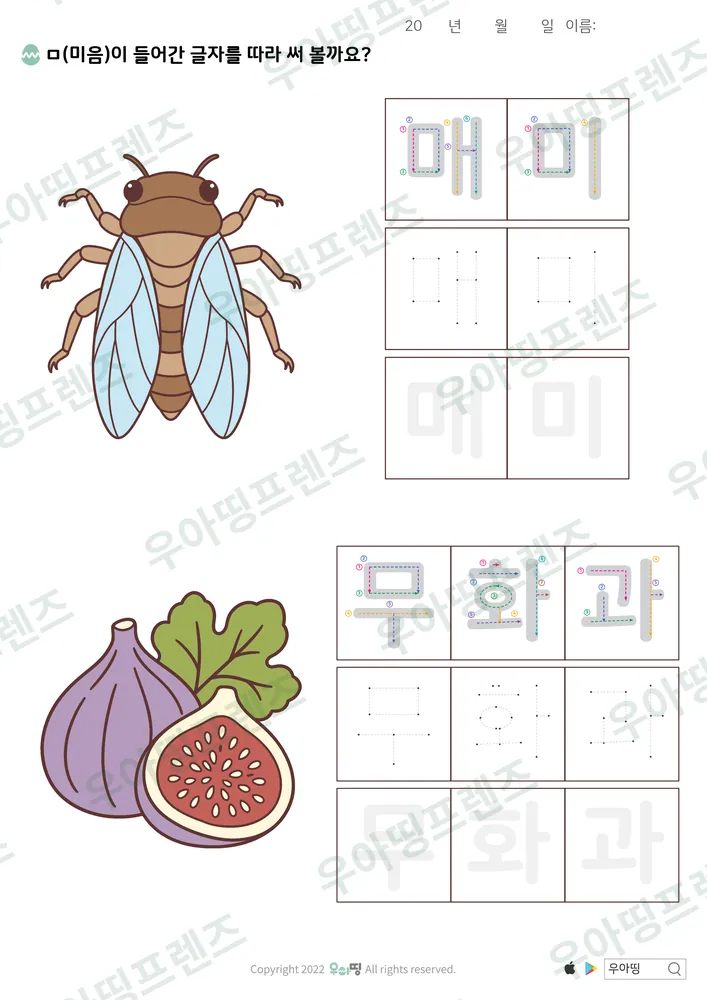 매미·무화과 따라쓰기 도안