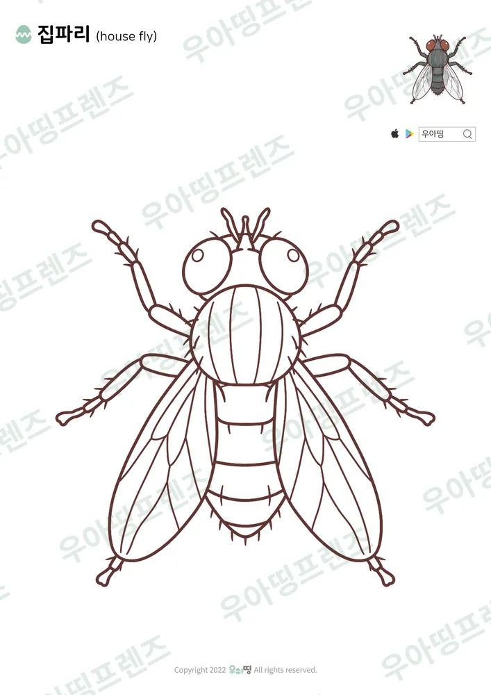 집파리 색칠공부 도안