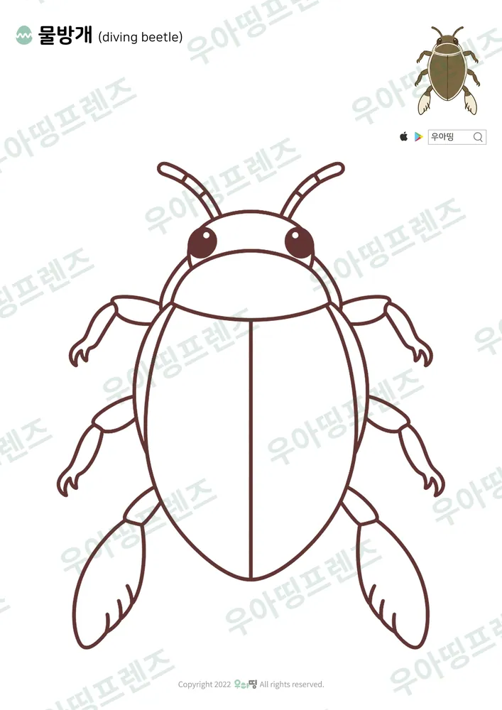 물방개 색칠공부 도안