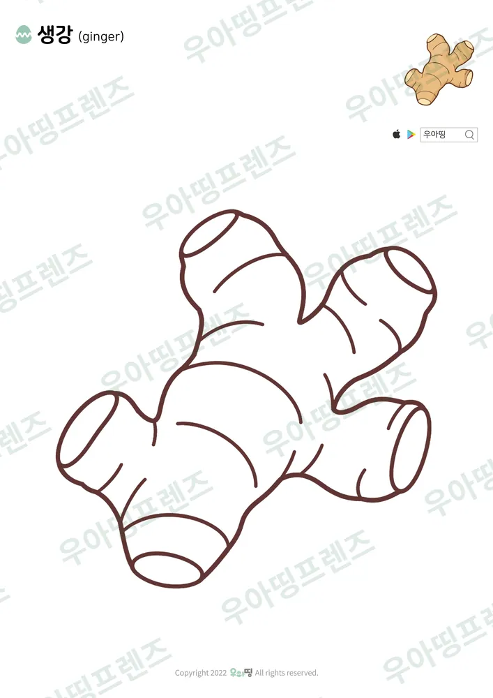 생강 색칠공부 도안