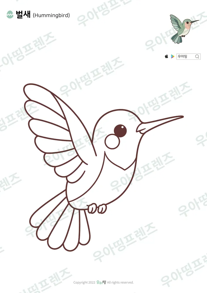 벌새 색칠공부 도안