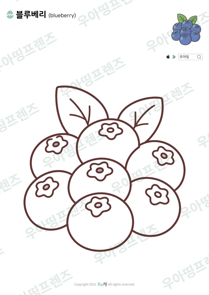블루베리 색칠공부 도안