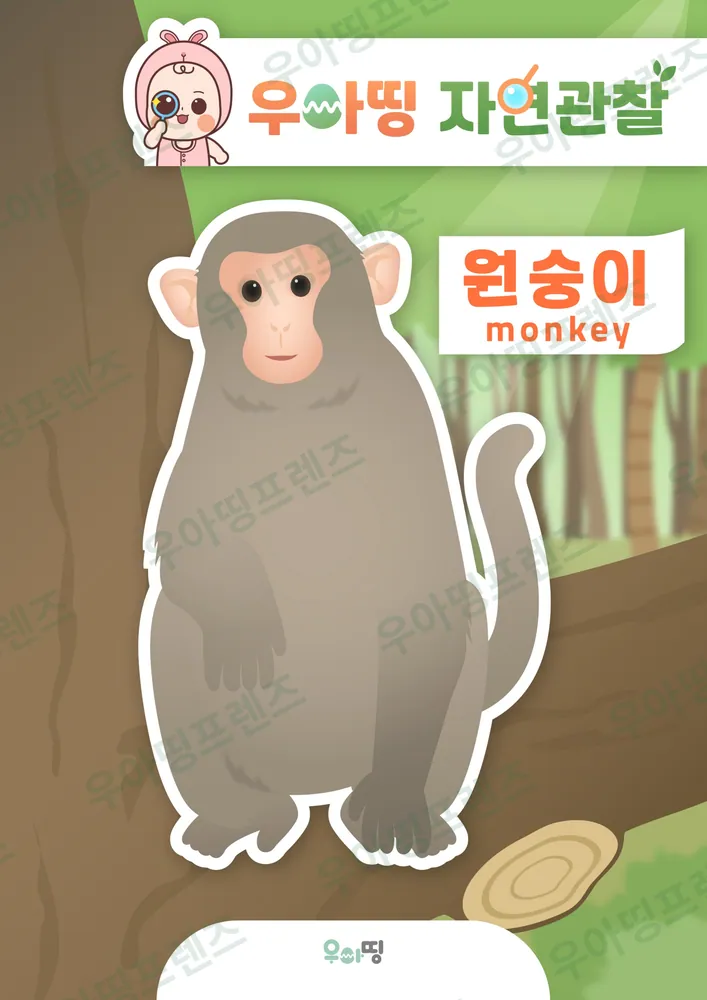 원숭이 자연관찰 워크북 미리보기