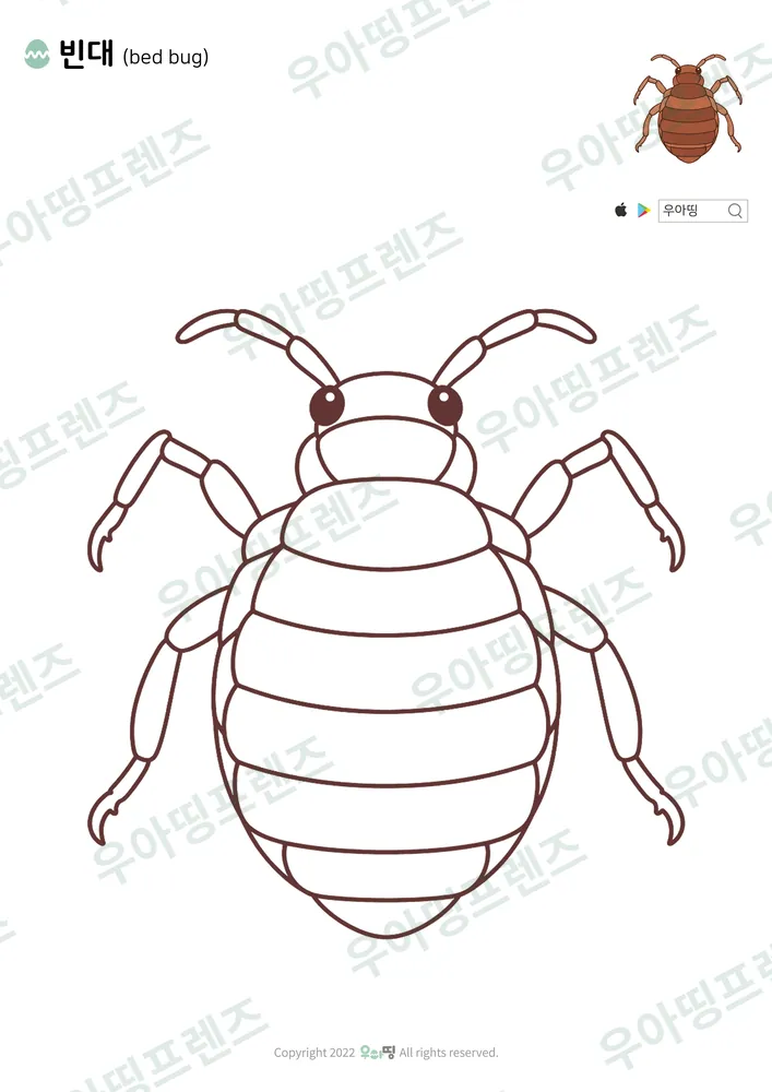 빈대 색칠공부 도안