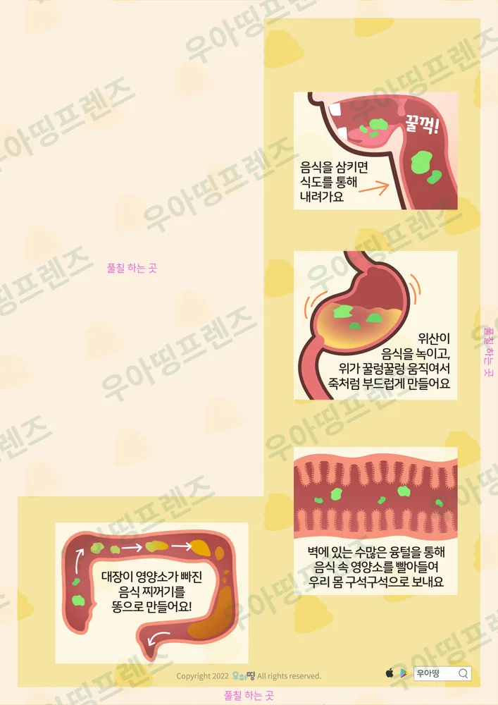 소화기관 워크북 도안 3쪽