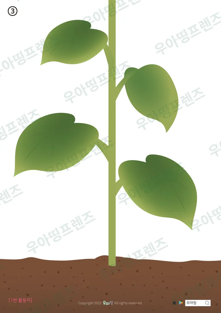 19쪽