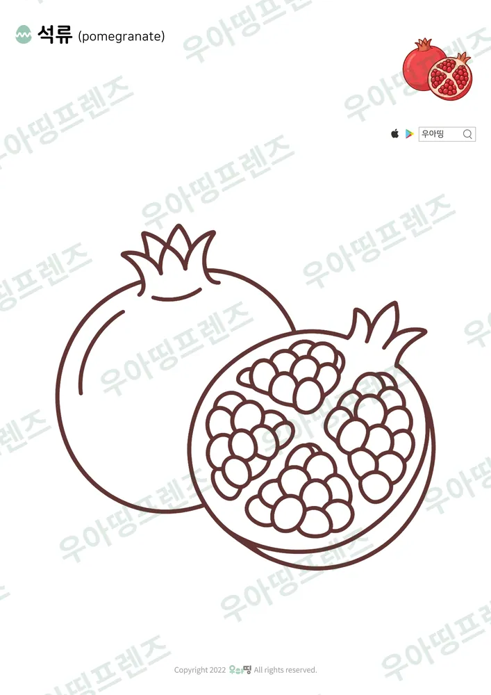 석류 색칠공부 도안