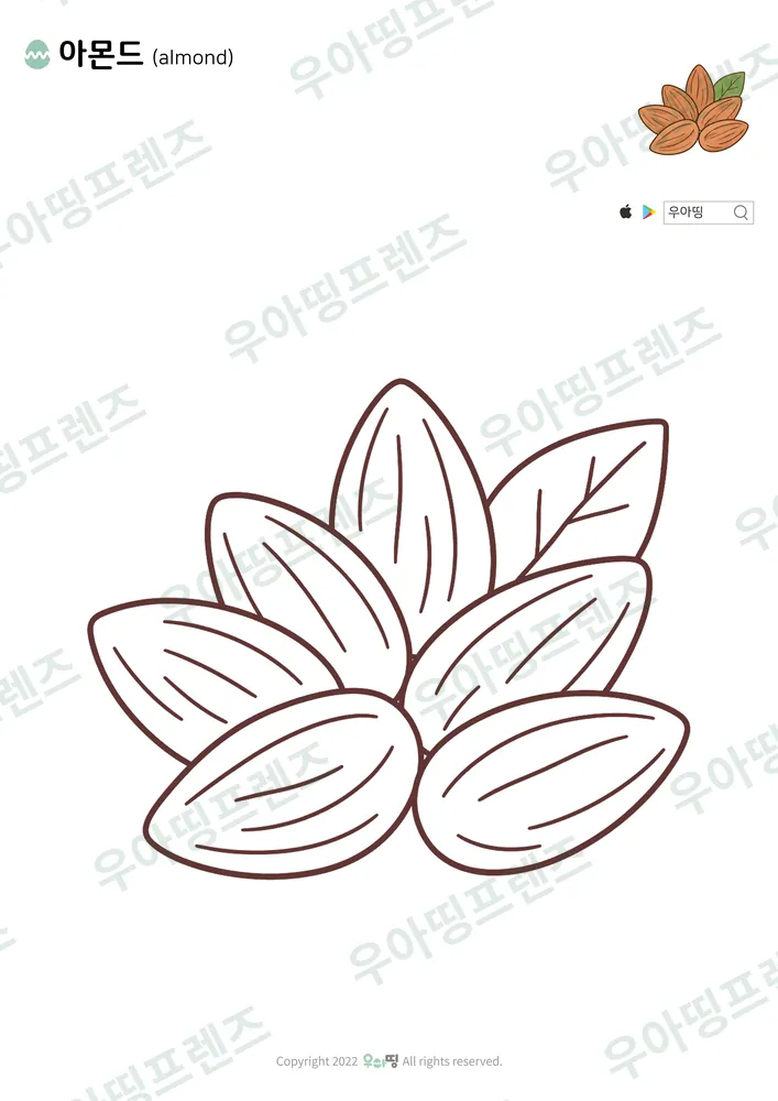 아몬드 색칠공부 도안