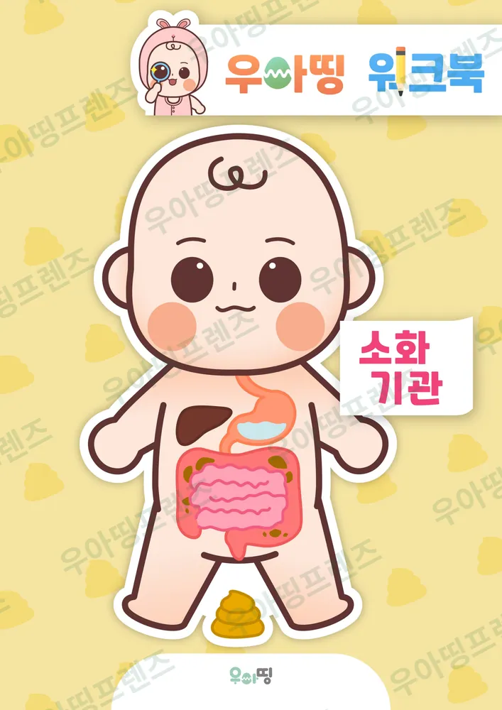 소화기관 워크북 미리보기