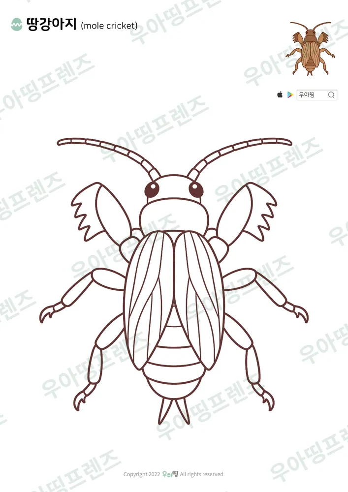땅강아지 색칠공부 도안