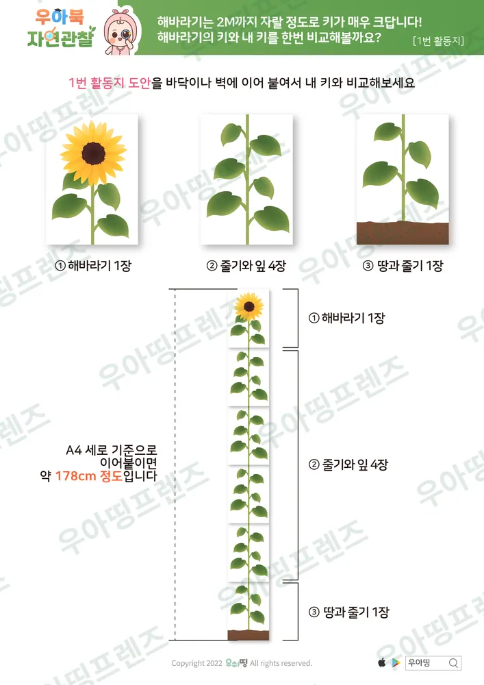 13쪽
