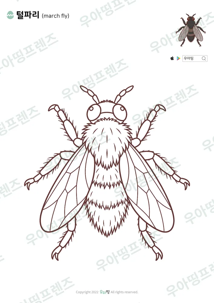 털파리 색칠공부 도안