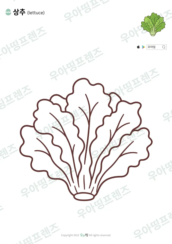 상추 색칠공부 도안