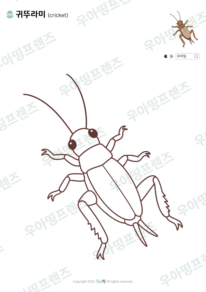 귀뚜라미 색칠공부 도안