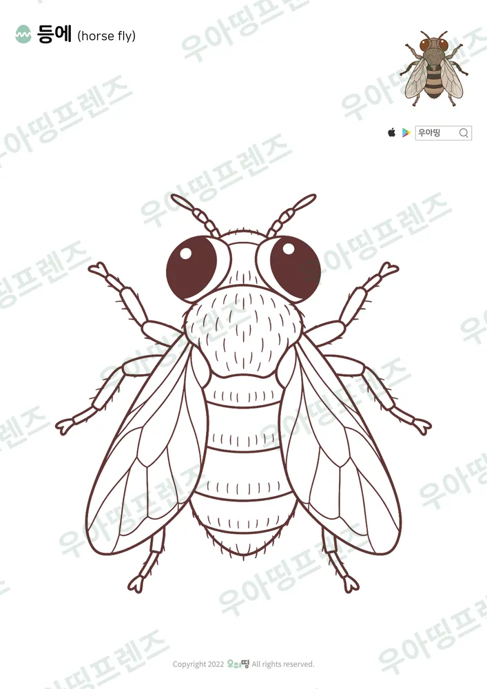 등에 색칠공부 도안