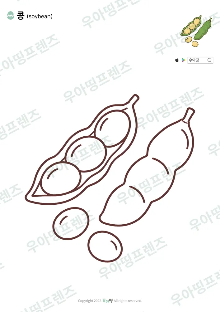 콩 색칠공부 도안