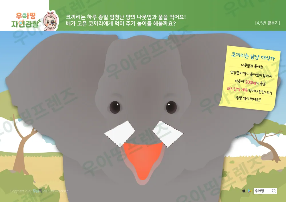 코끼리 자연관찰 워크북 도안 8쪽