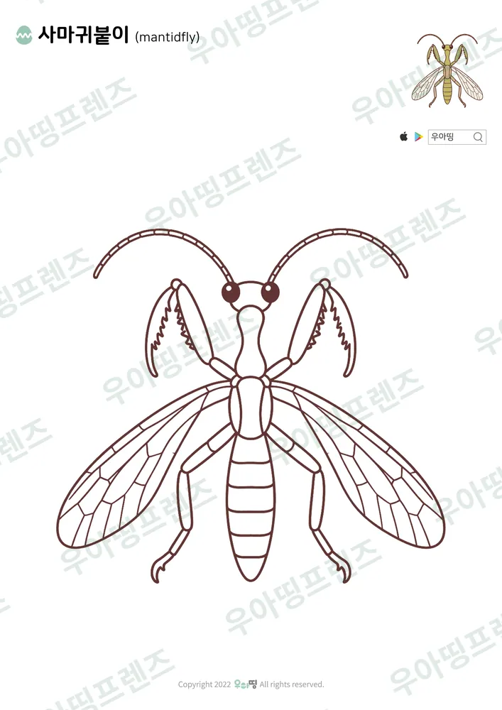 사마귀붙이 색칠공부 도안