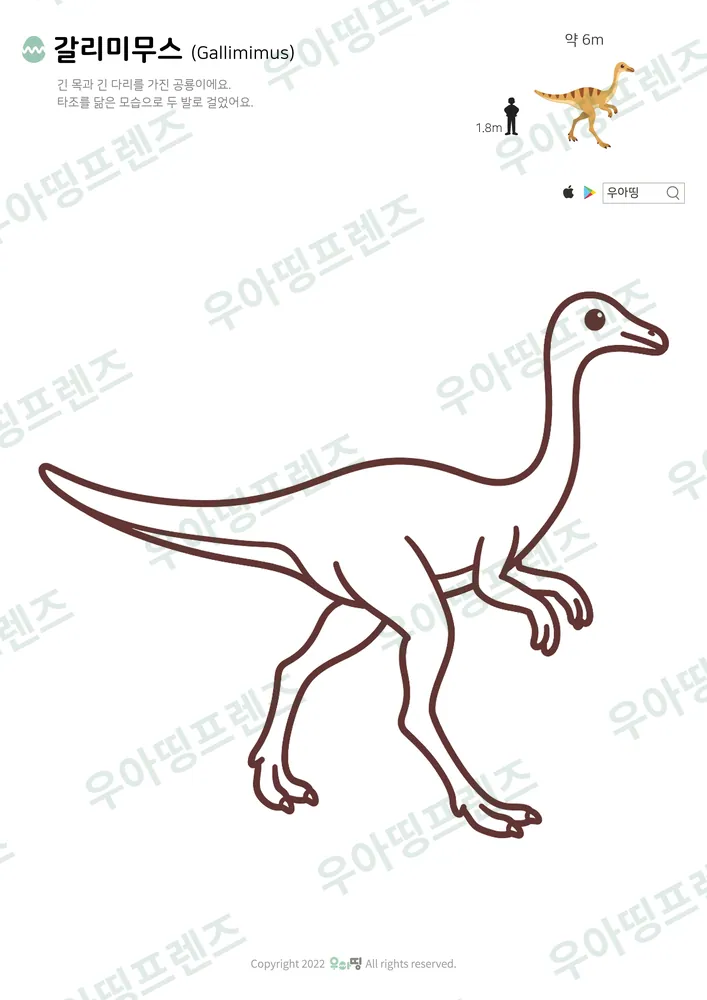 갈리미무스 색칠공부 도안