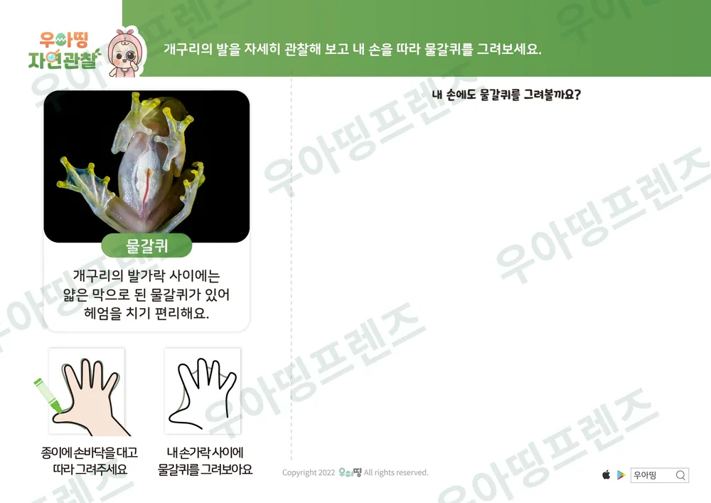 개구리 자연관찰 워크북 도안 5쪽