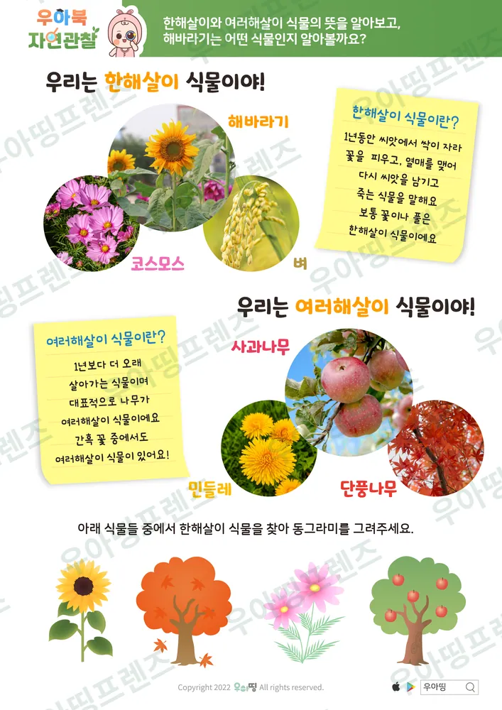 6쪽