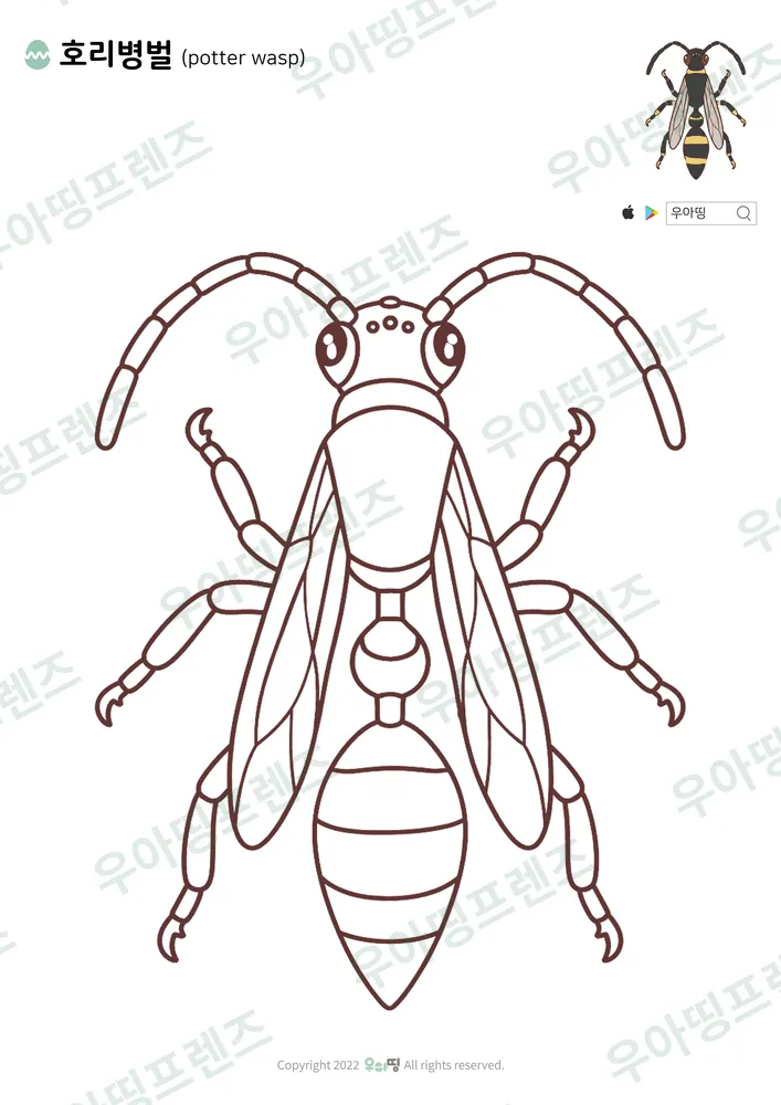 호리병벌 색칠공부 도안