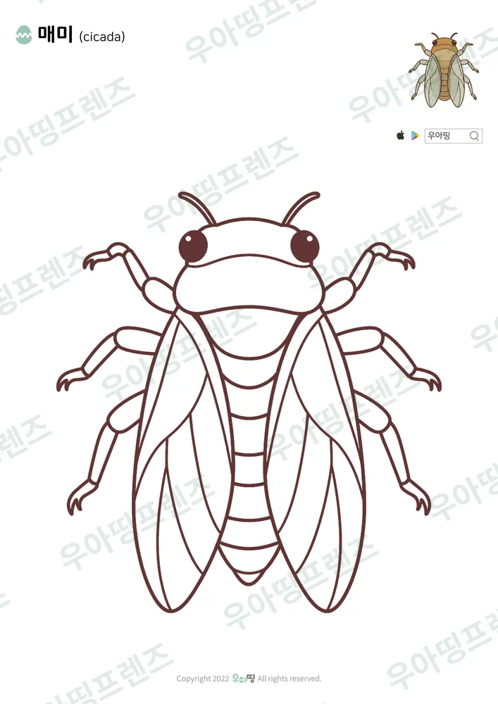 매미 색칠공부 도안