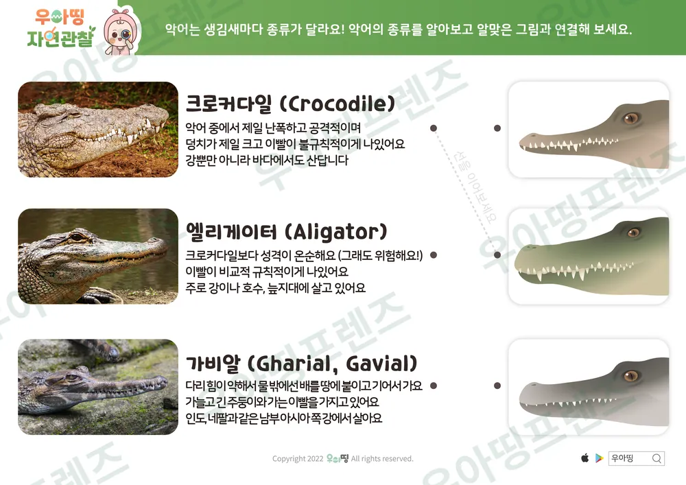 5쪽