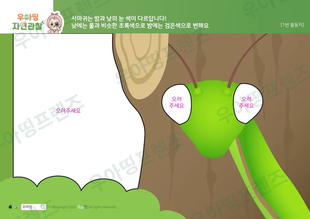 사마귀 자연관찰 워크북 도안 5쪽