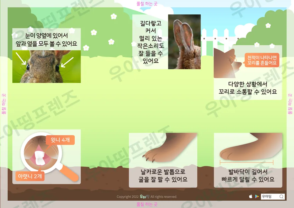 4쪽