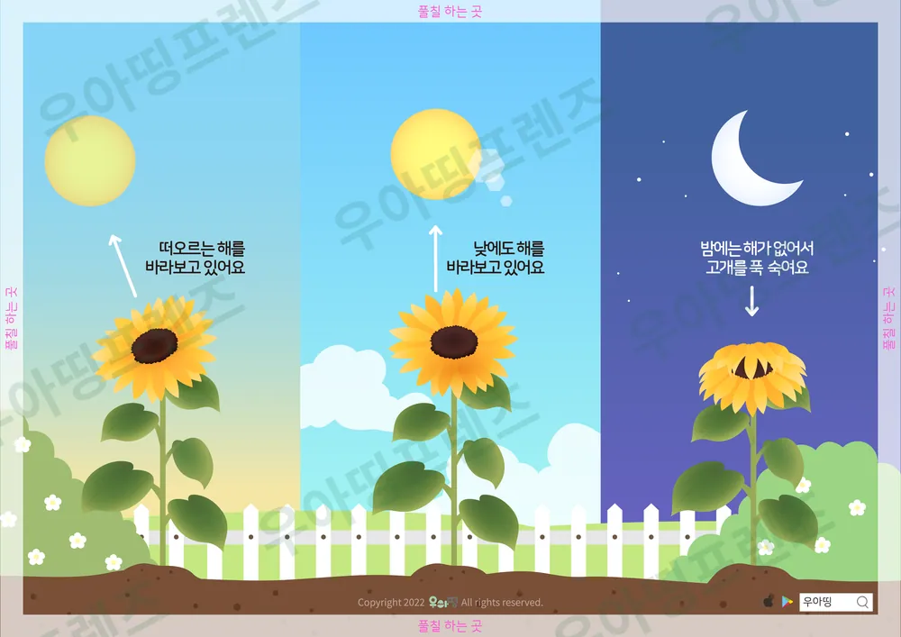 5쪽