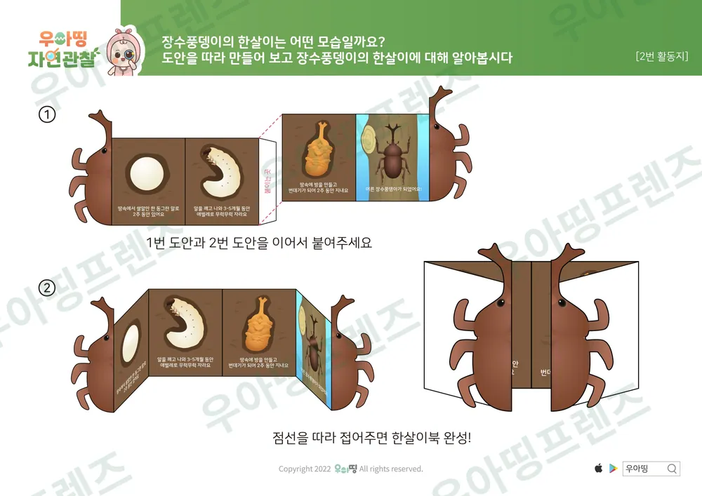 장수풍뎅이 자연관찰 워크북 도안 6쪽