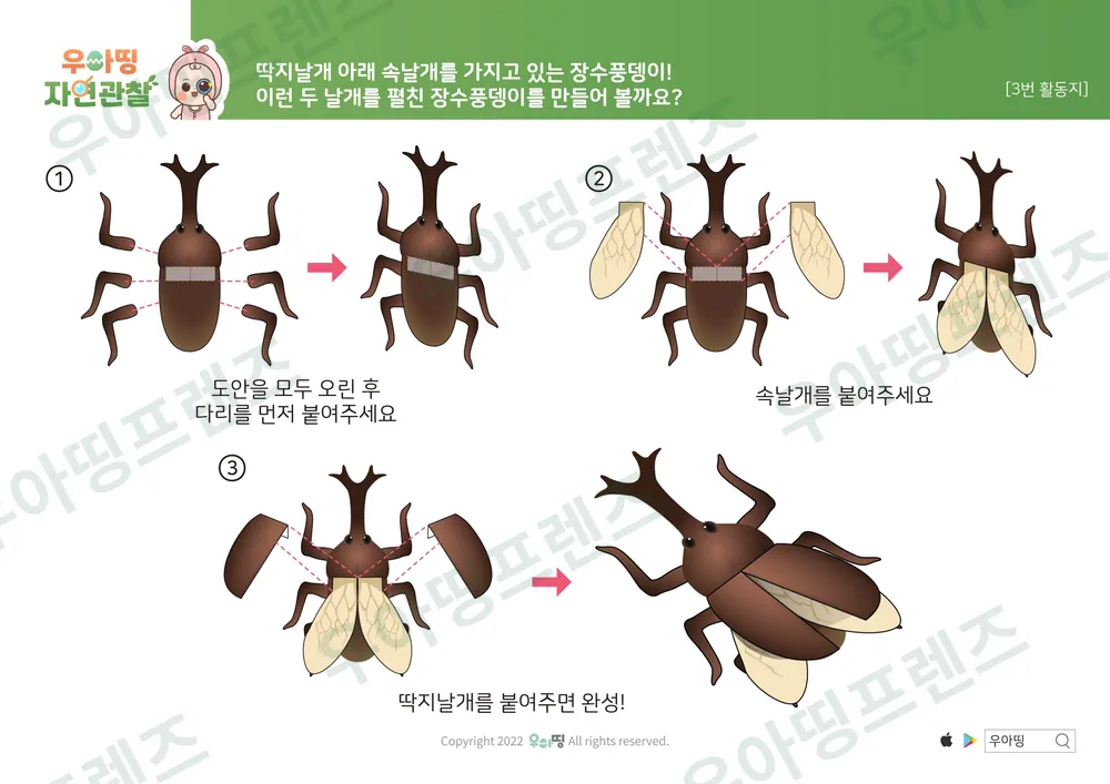 장수풍뎅이 자연관찰 워크북 도안 7쪽