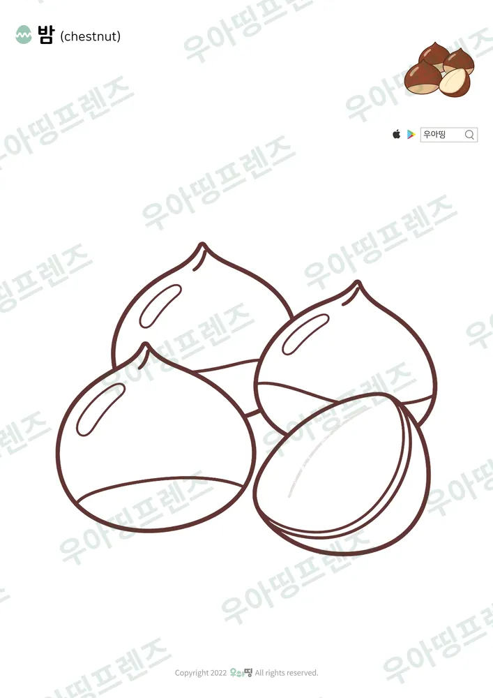 밤 색칠공부 도안