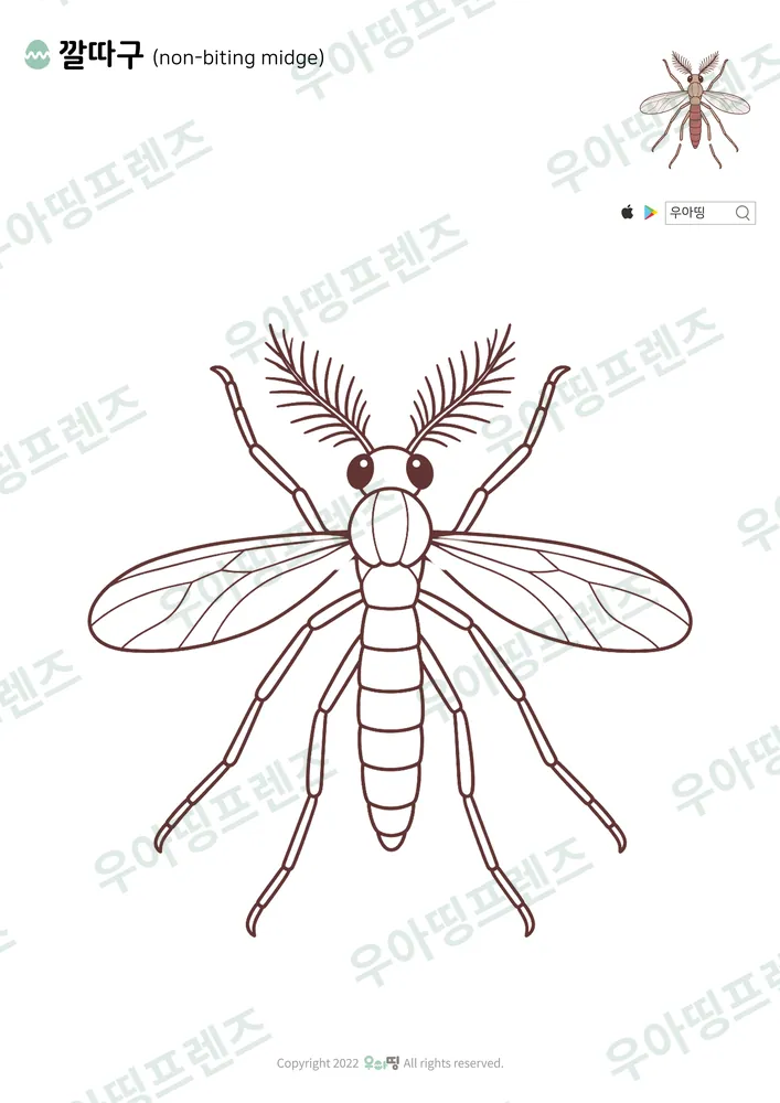 깔따구 색칠공부 도안